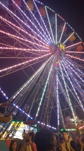 The Ferris Wheel at the Great Frederick Fair Photo by Abbey McAlister