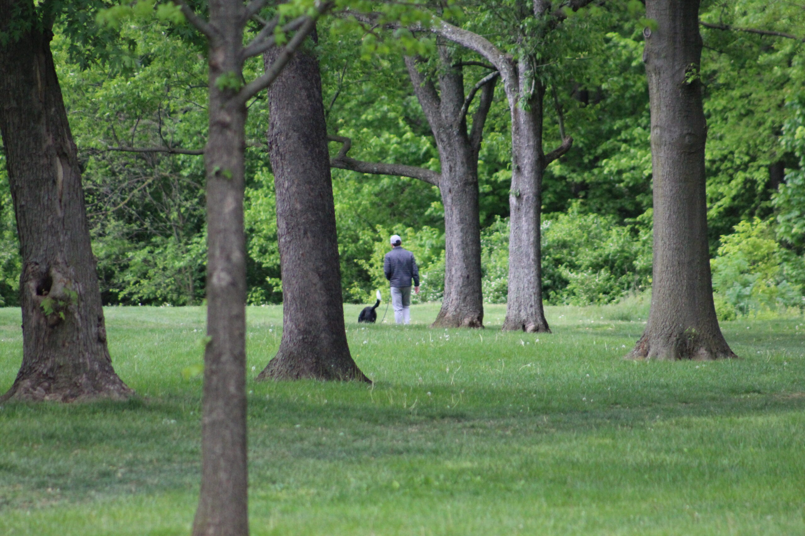 Frederick’s Park and Recreation Department, nonprofits use nature to aid mental health